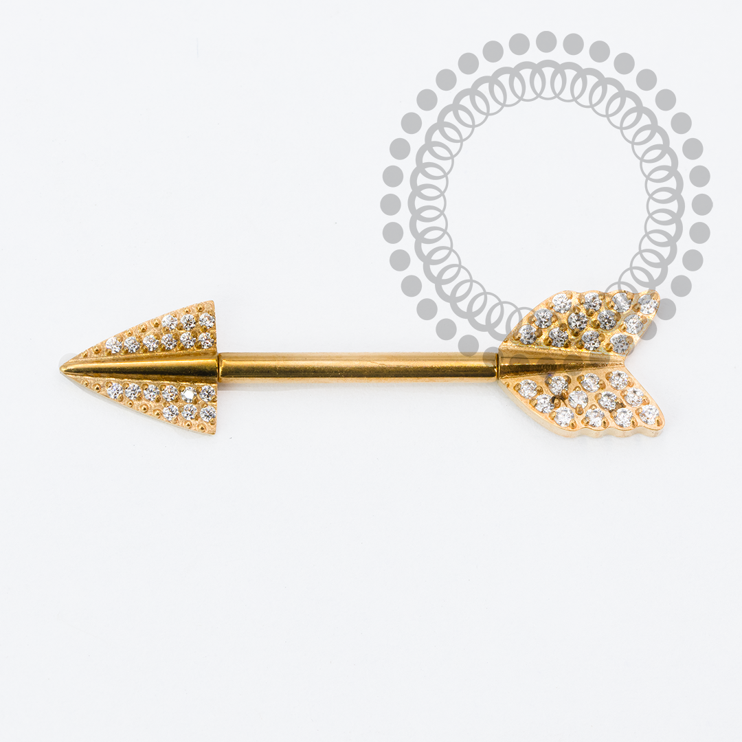 TN2151 Nipple Flecha CZ Push Pin Titânio PVD Gold