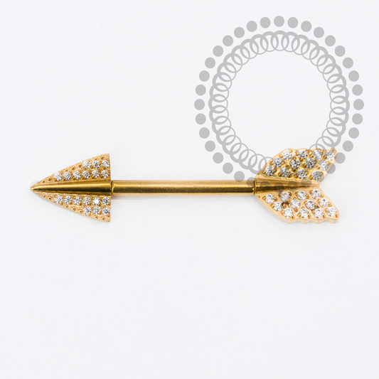 TN2151 Nipple Flecha CZ Push Pin Titânio PVD Gold