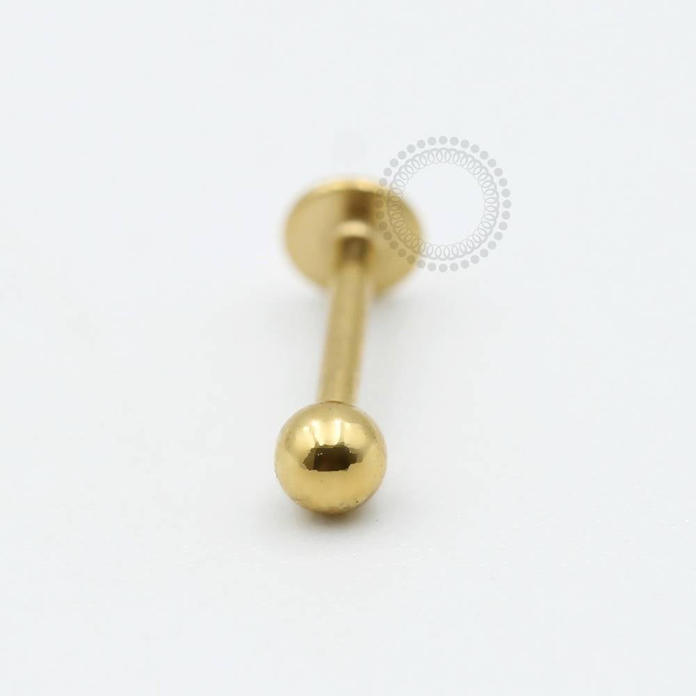 TN563 Labret titânio PVD Gold