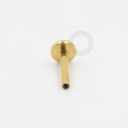 TN280 Haste De Labret Titânio PVD Gold