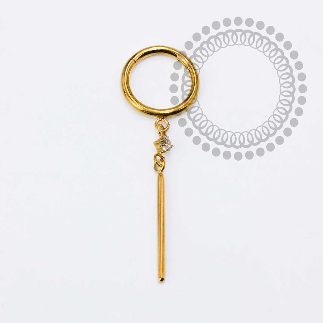 TN2283 Segmento 8mm Ping. CZ Barra Titânio PVD Gold