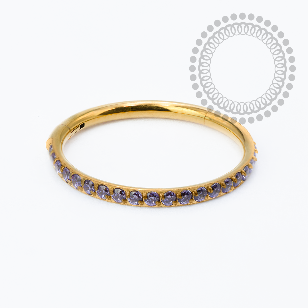 TN2334 Segmento Cravejado CZ Violeta Titânio PVD Gold
