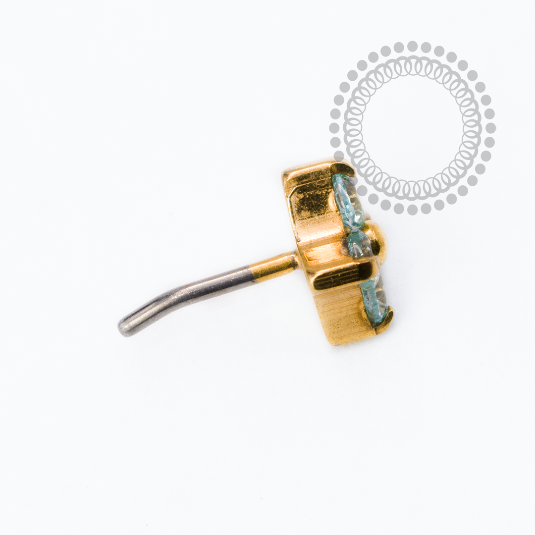 TN2496 Topo Micro Trevo CZ Turmalina Push Pin Titânio PVD Gold