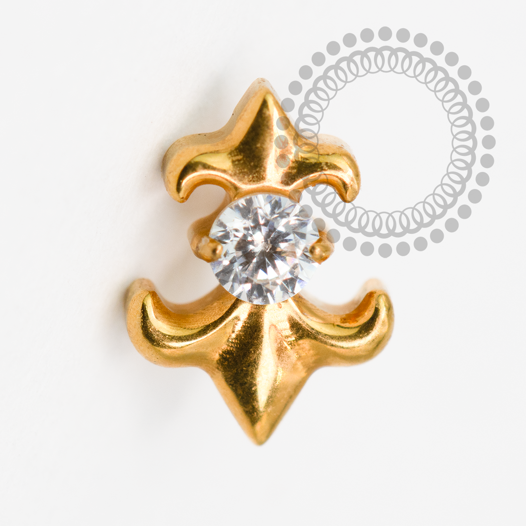 TN2027 Topo Flor De Lis CZ Titânio PVD Gold