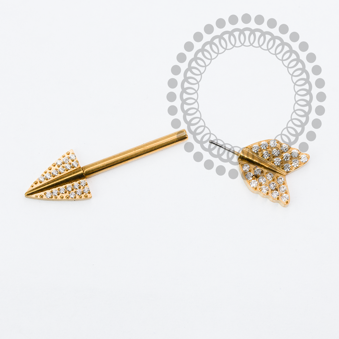 TN2151 Nipple Flecha CZ Push Pin Titânio PVD Gold