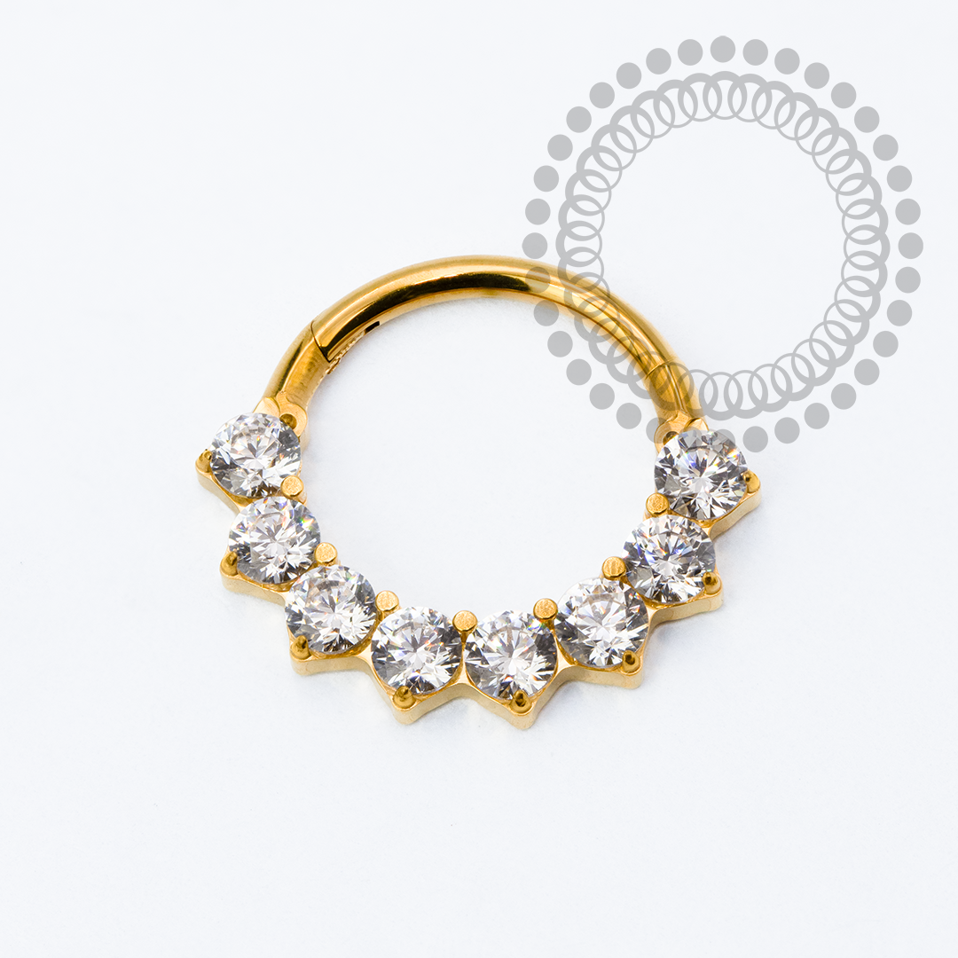TN2273 Segmento 8 CZ Frontal Titânio PVD Gold