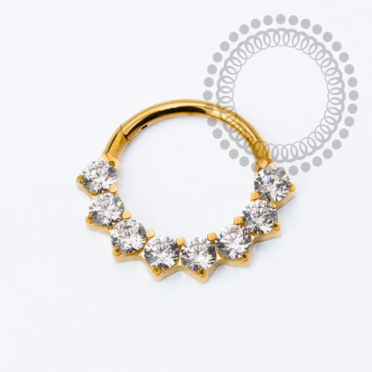TN2273 Segmento 8 CZ Frontal Titânio PVD Gold