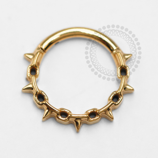 TN1379 Segment Model Chain Titanium PVD Gold 