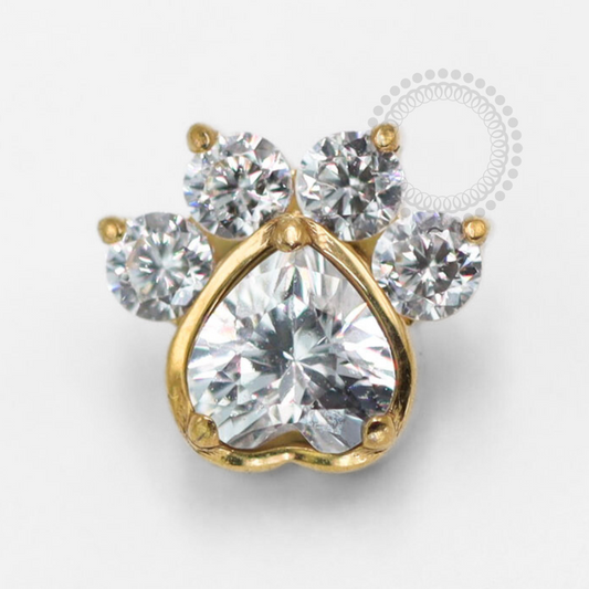 TN1453 Topo Patinha Zircônia Cristal Titânio PVD Gold