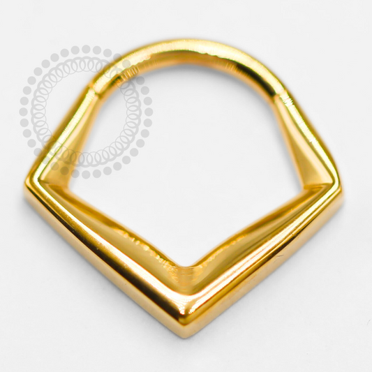 TN1404 Geometric Segment Titanium PVD Gold 