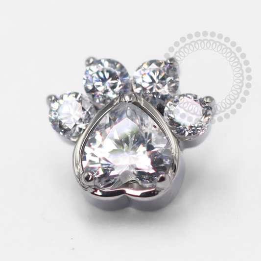 TN1437 Topo Patinha Zircônia Cristal Titânio ASTM F-13
