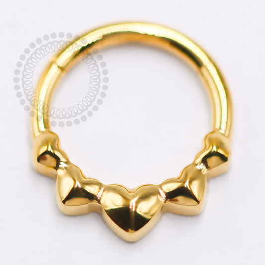 TN1412 Titanium PVD Gold Hearts Segment 