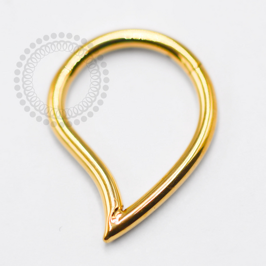 TN1398 Hollow Drop Segment Titanium PVD Gold 