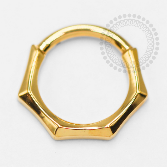 TN1409 Geometric Segment Titanium PVD Gold 