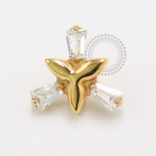 TN1480 Topo Trindade Dourada Titânio PVD Gold
