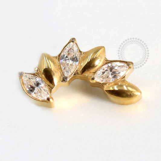 TN767 Topo Cluster Topete Zircônia Titânio PVD Gold