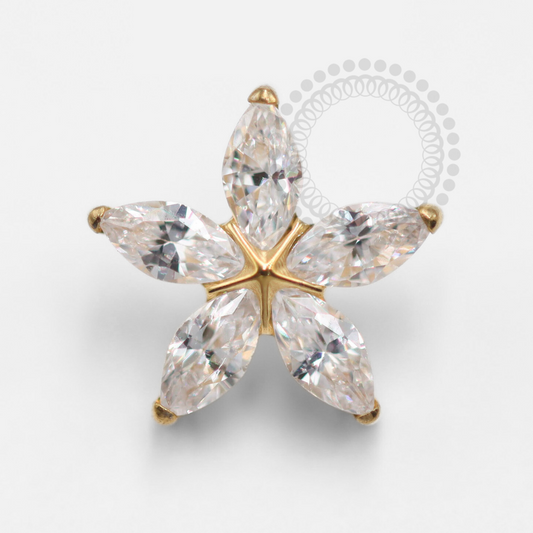TN1362 Daisy Top Titanium PVD Gold 