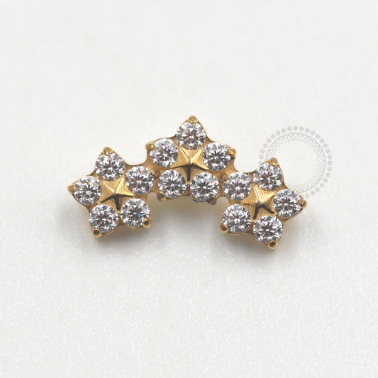 TN676 Topo Cluster De Flores Titanio Pvd Gold