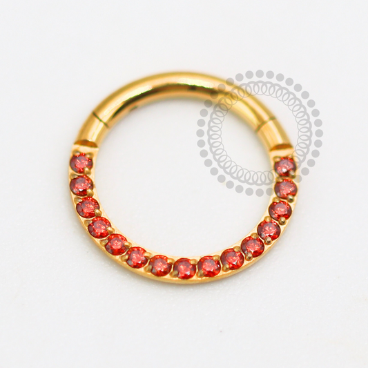 TN1616 Segmento Frontal Cravejado CZ Garnet Titânio PVD Gold