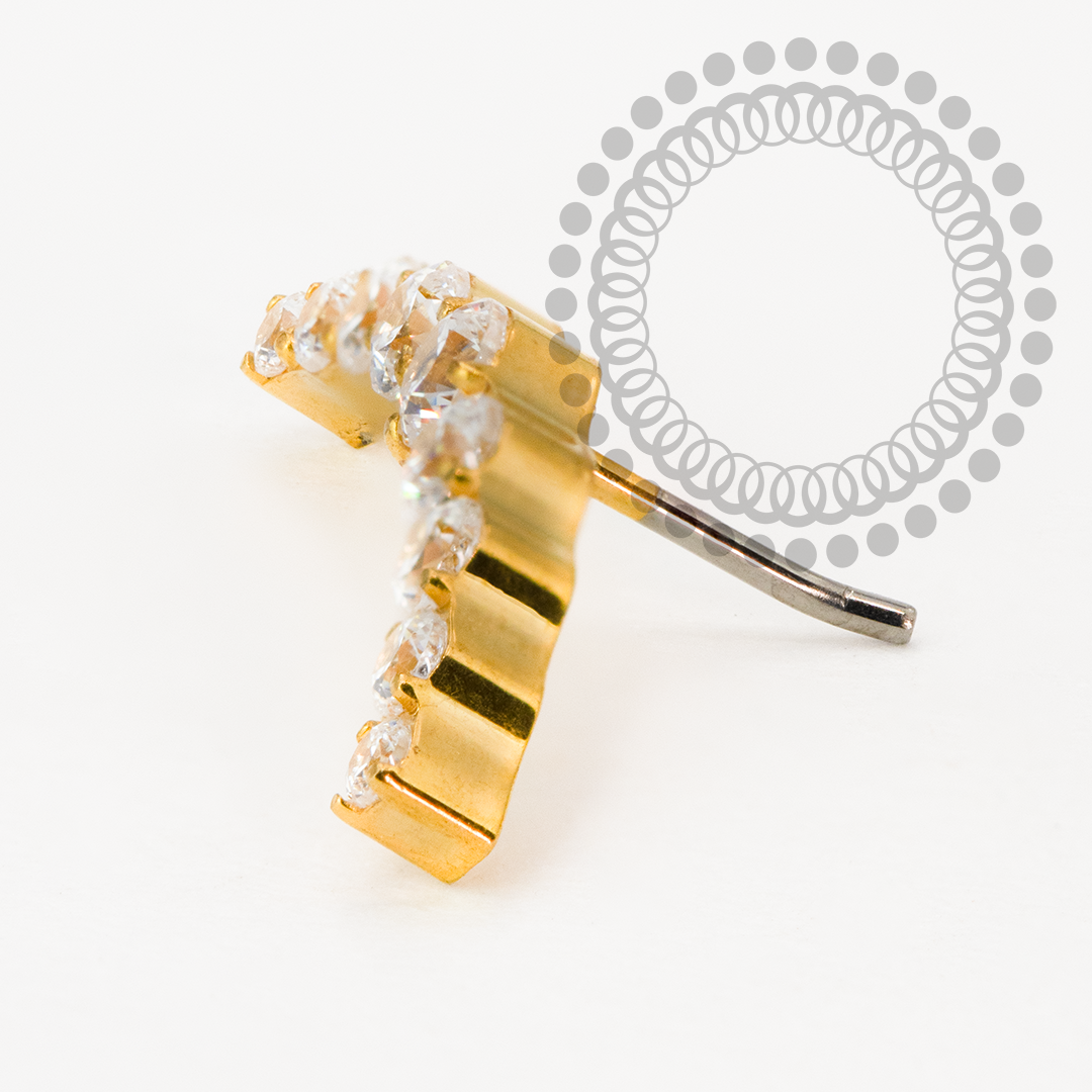 TN2184 Topo Cluster CZ Push Pin Titânio PVD Gold