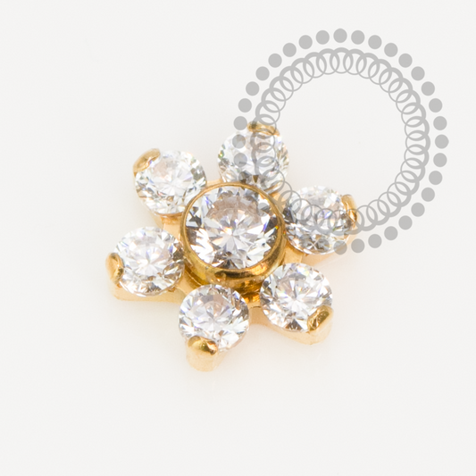 TN2213 Topo Micro Flor CZ Titânio PVD Gold