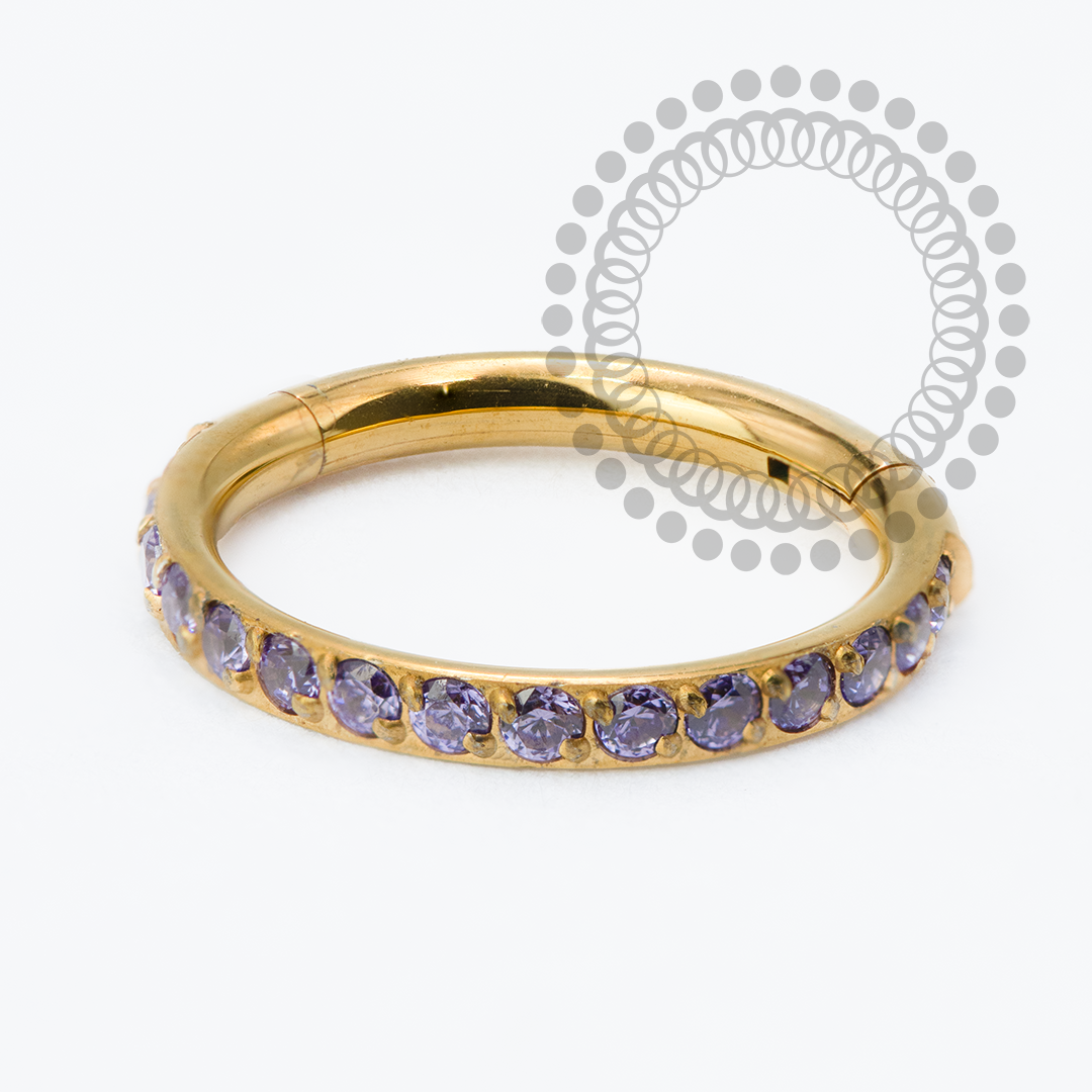 TN2334 Segmento Cravejado CZ Violeta Titânio PVD Gold