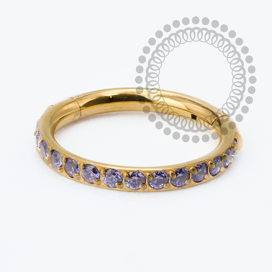 Segmento Cravejado CZ Violeta Titânio PVD Gold