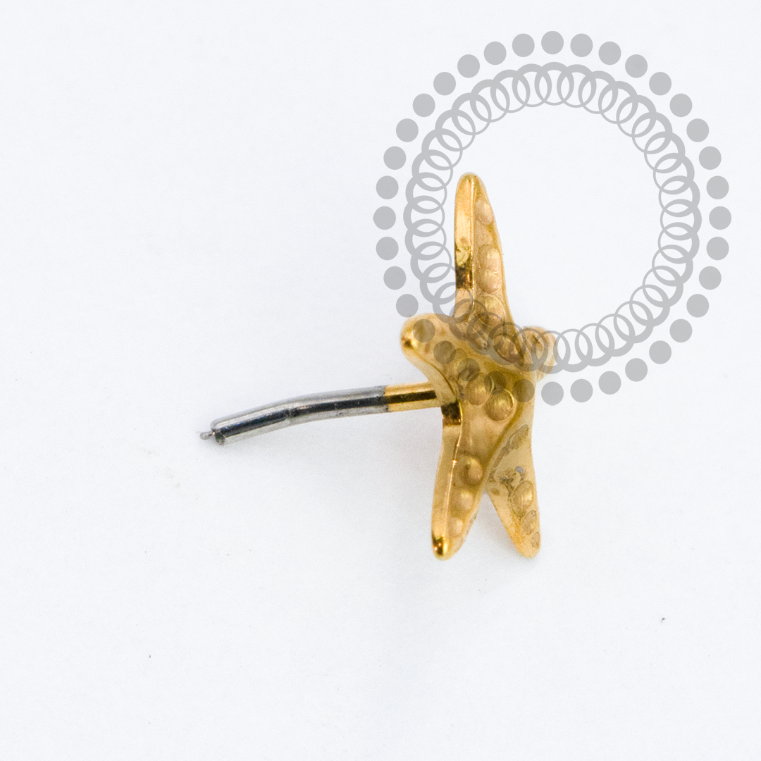 TN2157 Topo Estrela do Mar Push Pin Titânio PVD Gold