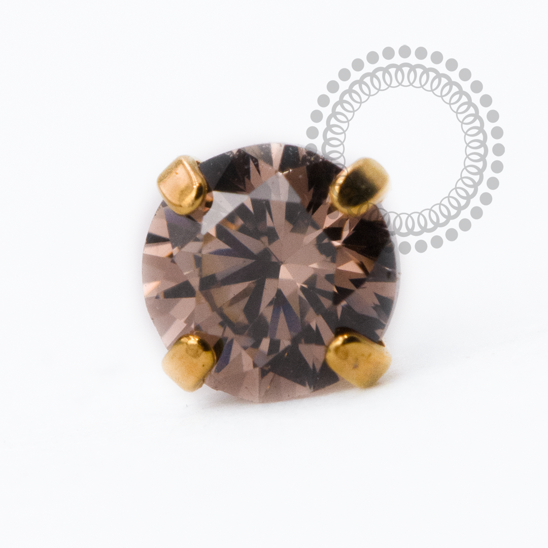 TN2526 Topo CZ Dark Coffee Push Pin Titanio PVD Gold