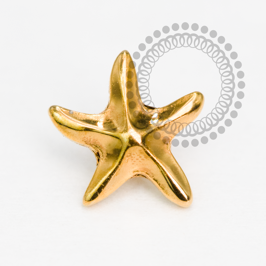 TN2098 Topo Estrela Do Mar Lisa Titânio PVD Gold