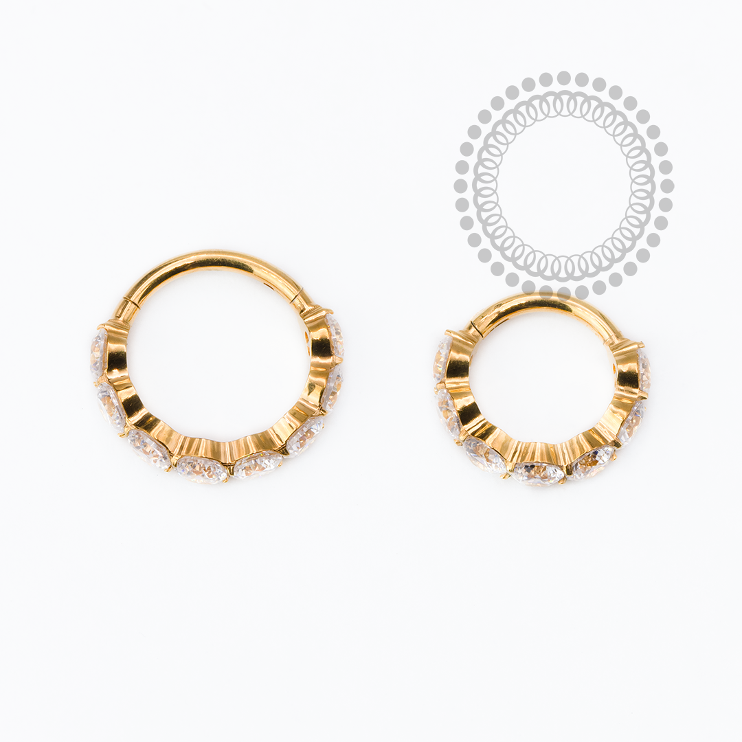 TN2524 Segmento CZ 3mm Titânio PVD Gold