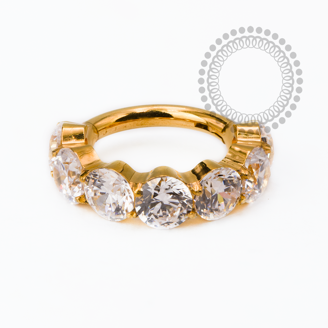 TN2524 Segmento CZ 3mm Titânio PVD Gold