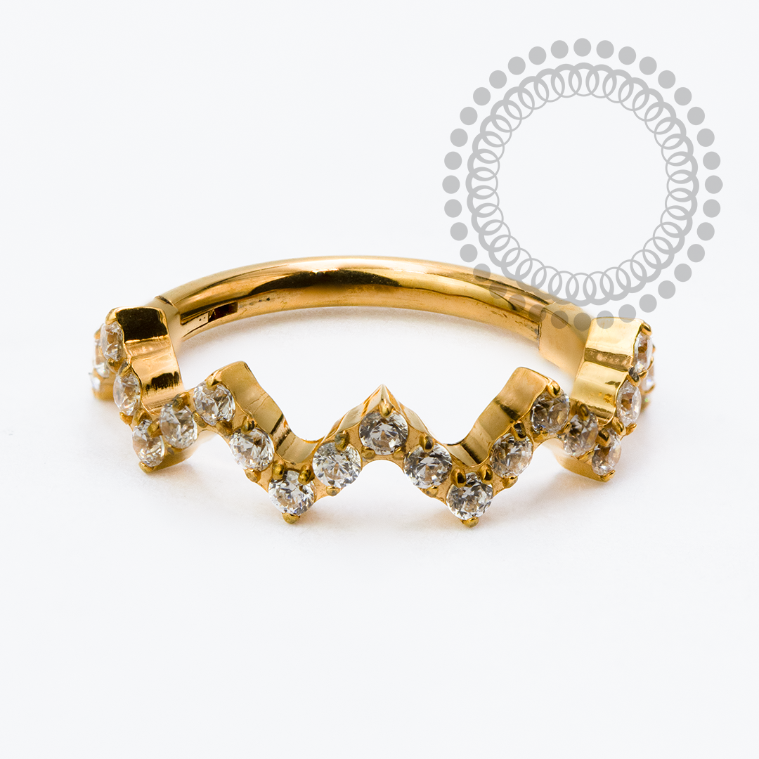 TN2340 Segmento Wave CZ Titânio PVD Gold