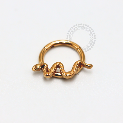 TN1139 Cobra Titanium PVD Gold Front Segment