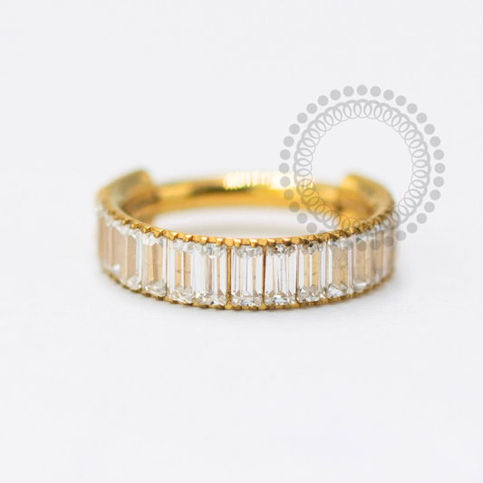 TN1656 Segmento Zirconias Baguette Titanio PVD Gold