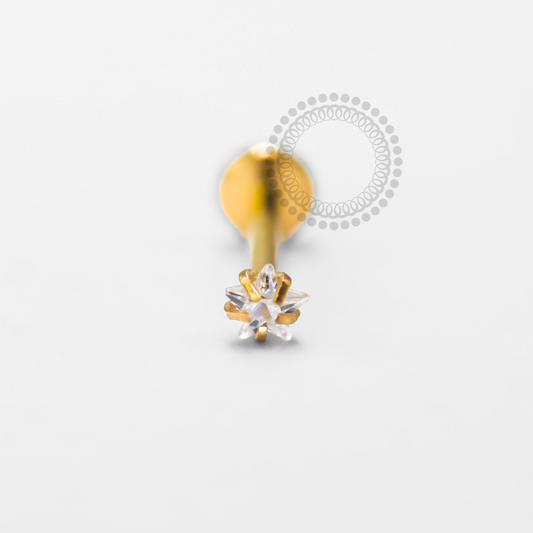 TN1673 Labret Estrela Titânio PVD Gold