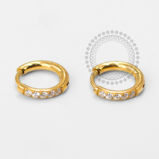 TN1615 Par de Brincos Argola Lux Titânio PVD Gold