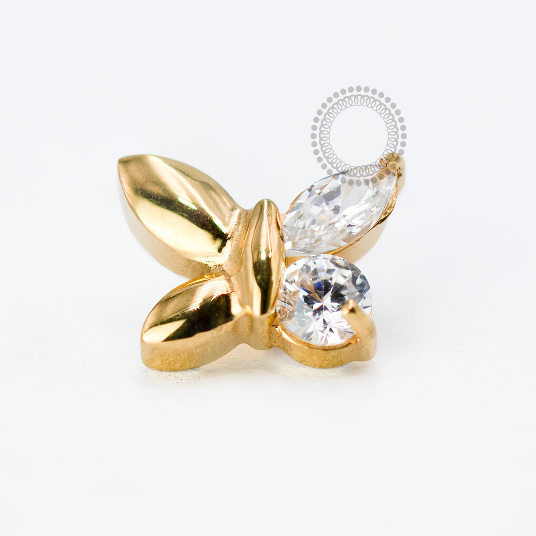 TN1715 Butterfly Top Titanium PVD Gold 