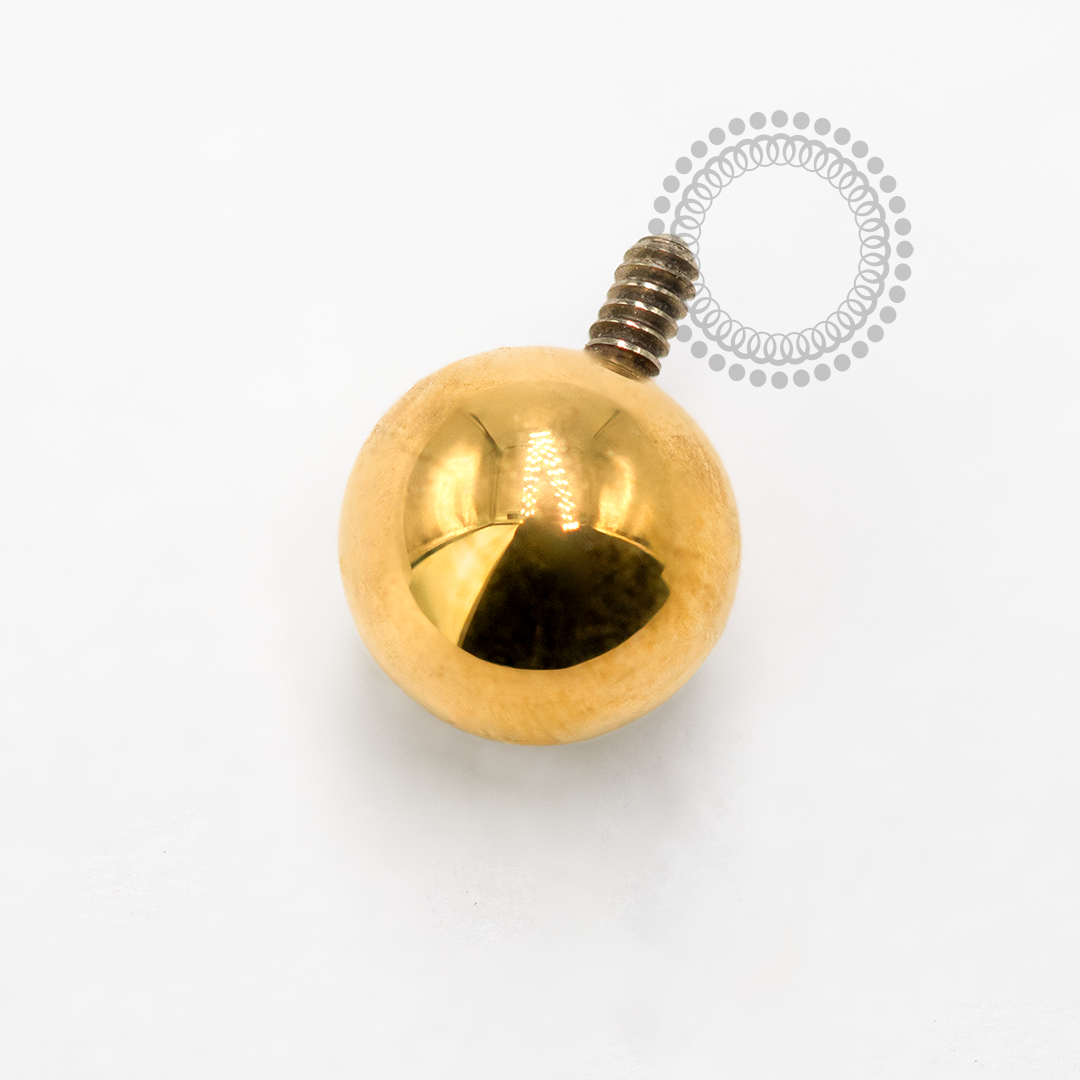 TN1686 Topo Esfera Titânio PVD Gold