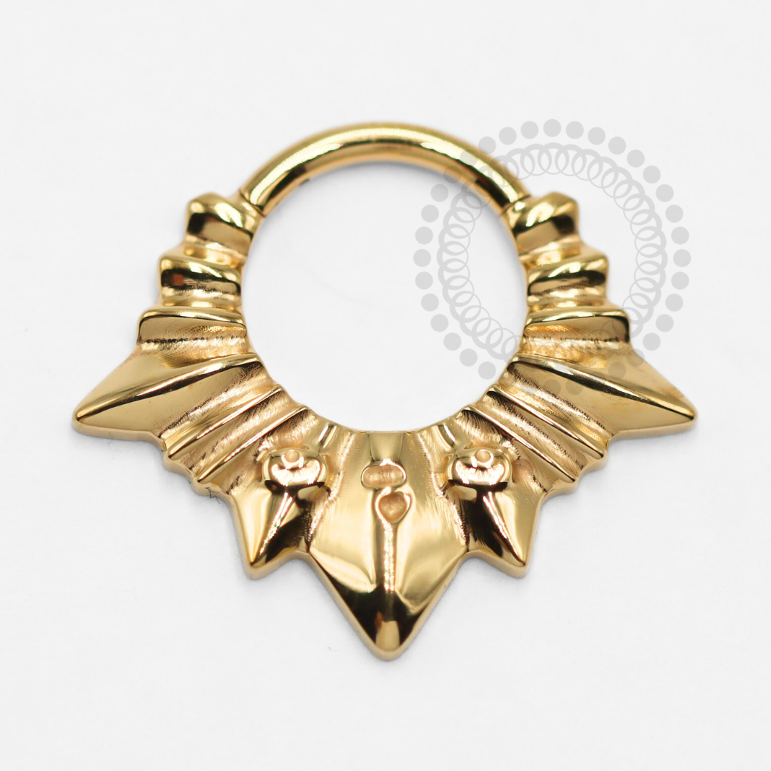 TN1384 Segmento Frontal Raios de Metal Titânio PVD Gold