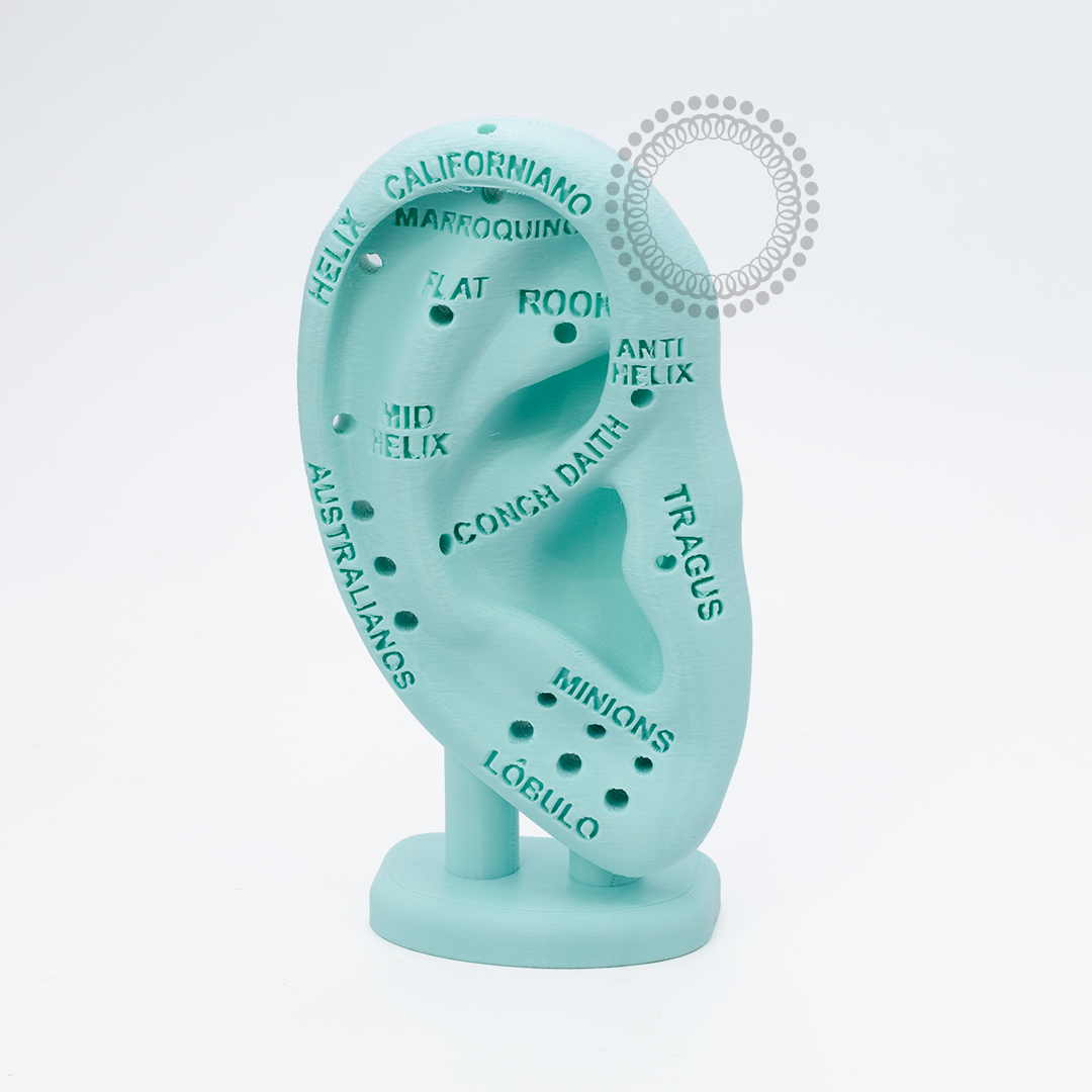 EP38 Orelha Didática 3D Em Resina