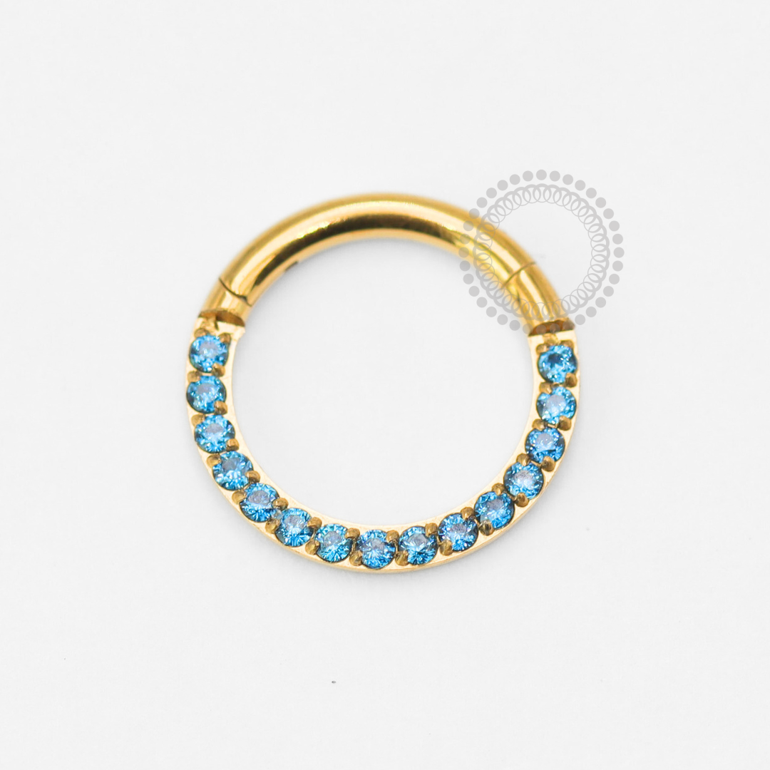 TN1856 Front Segment CZ Sapphire Titanium PVD Gold