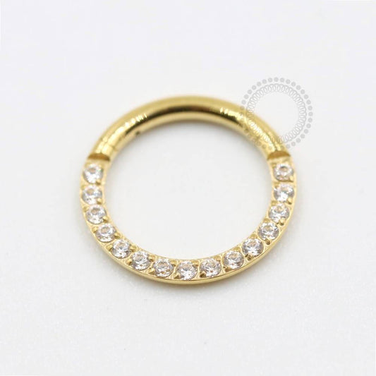 TN301 Segmento Frontal Cravejado Titânio PVD Gold