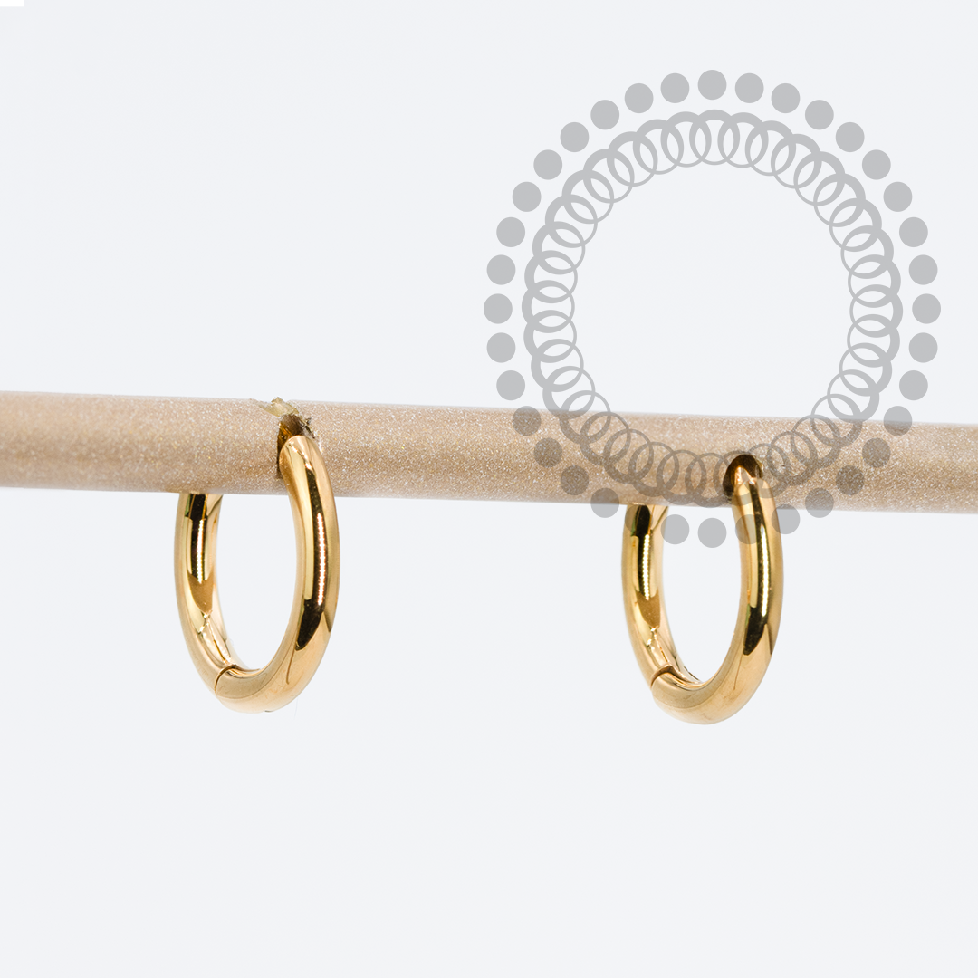 TN1754 Titanium PVD Gold Plain Hoop Earrings 
