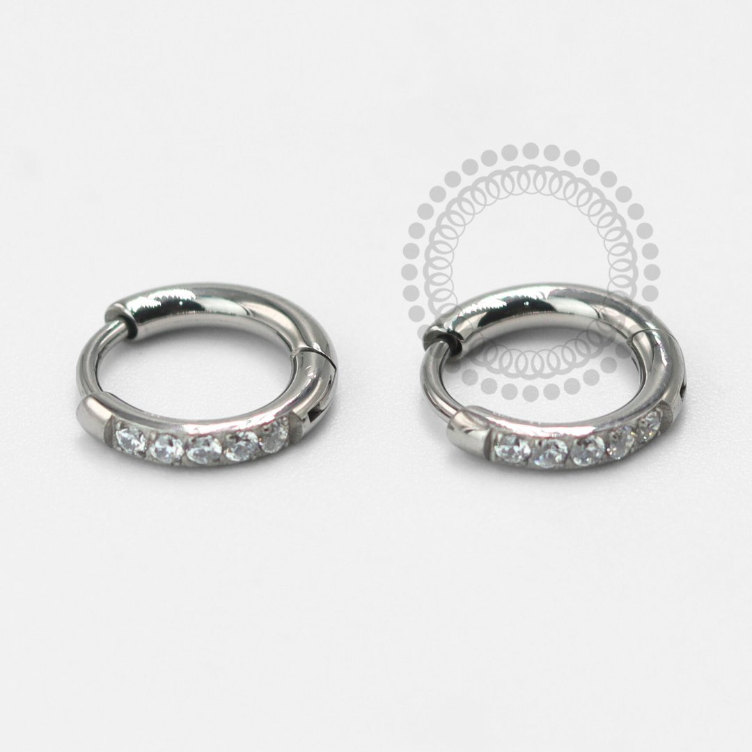 TN1683 Par De Brincos Argola Lux Titânio ASTM F-136