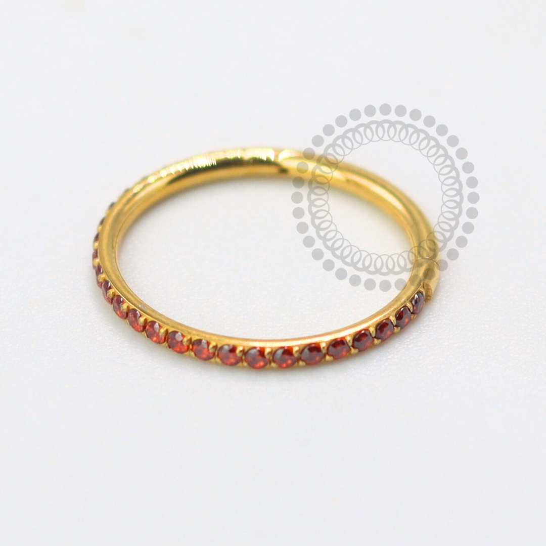 TN1617 Segmento Cravejado CZ Garnet Titânio PVD Gold