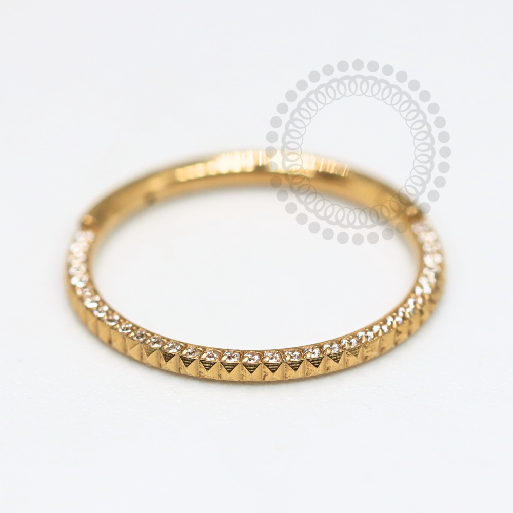 TN1184 Segmento Cravejado Inca Titânio PVD Gold