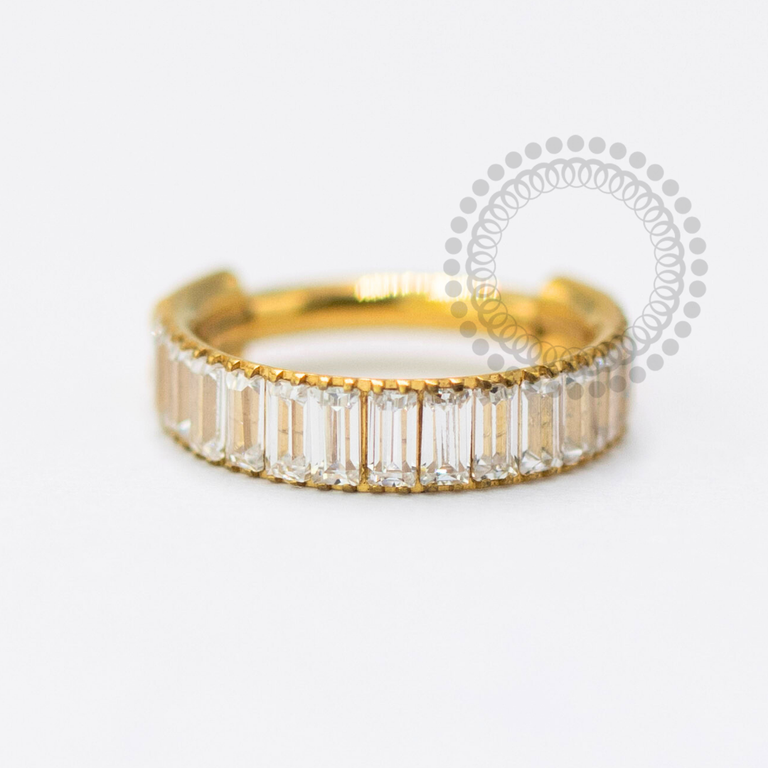 TN1656 Titanium Baguette Zirconia Segment PVD Gold