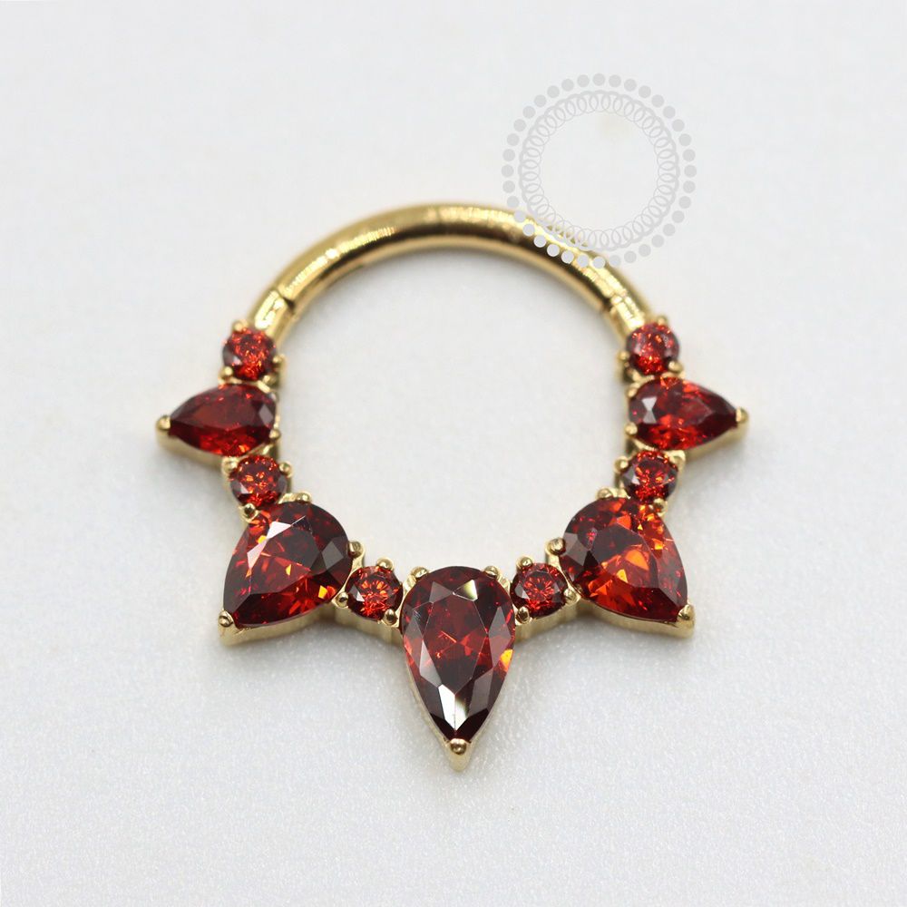 TN1963 Segmento Frontal Navetes Garnet Titânio PVD Gold