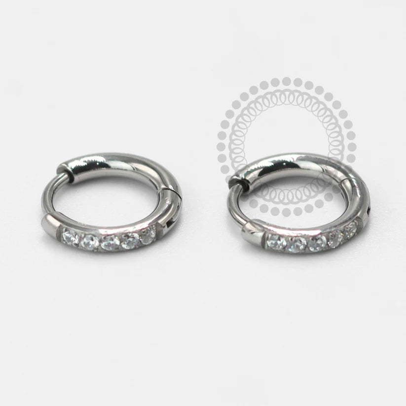 TN1683 Pair of Luxury Titanium Hoop Earrings ASTM F-136 